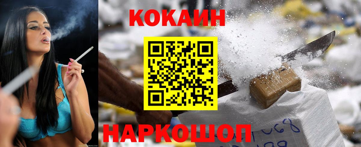 Бошки Шишки Кингисепп