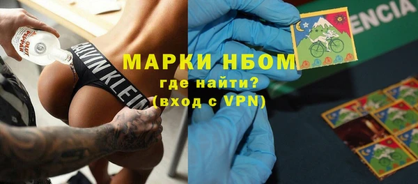 СК Алексин