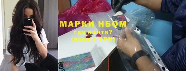 прущие грибы Алзамай