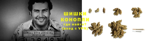прущие грибы Алзамай