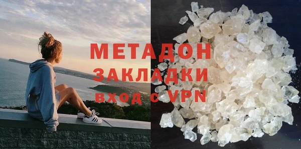 прущие грибы Алзамай