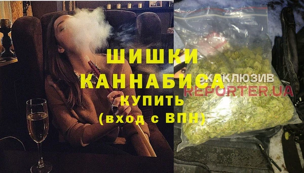 прущие грибы Алзамай