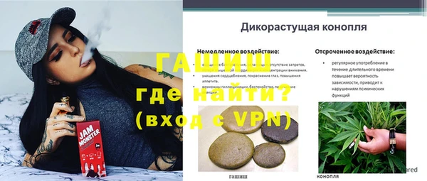 прущие грибы Алзамай