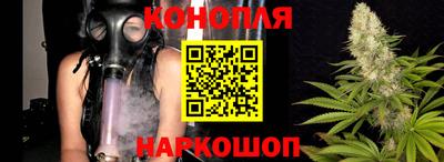 прущие грибы Комсомольск-на-Амуре