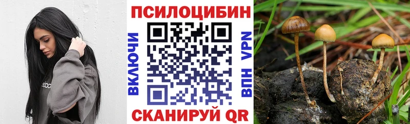 Галлюциногенные грибы мицелий Кингисепп