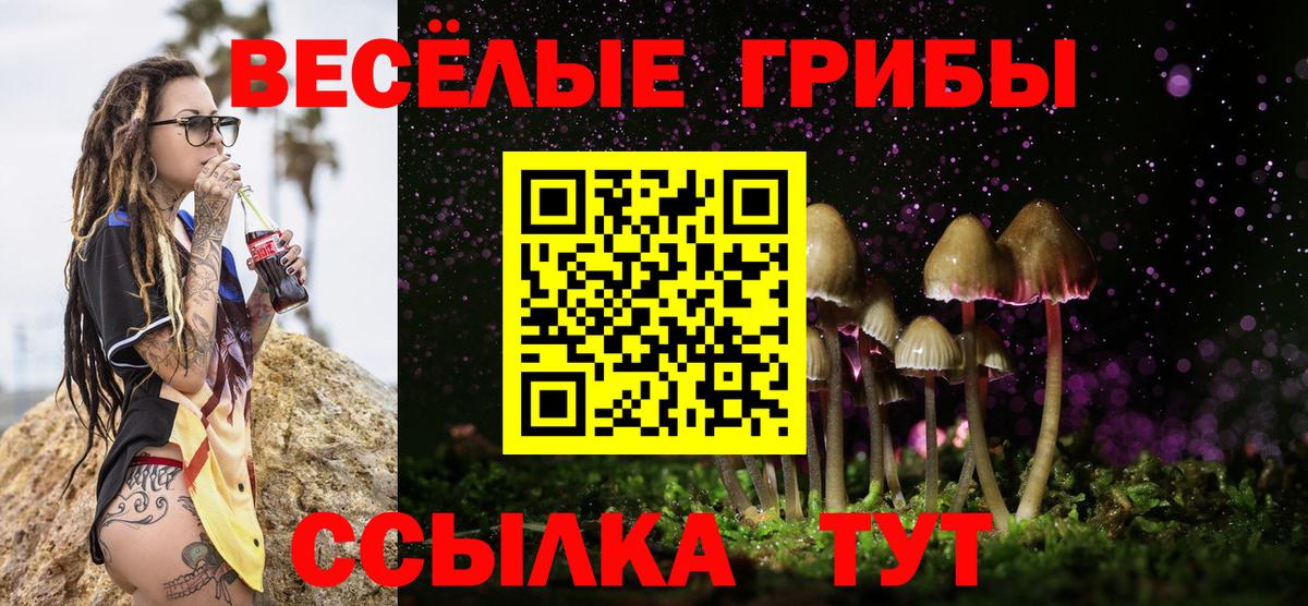 Кингисепп  Псилоцибиновые грибы мухоморы  Вход с VPN  Галлюциногенные грибы GOLDEN TEACHER 