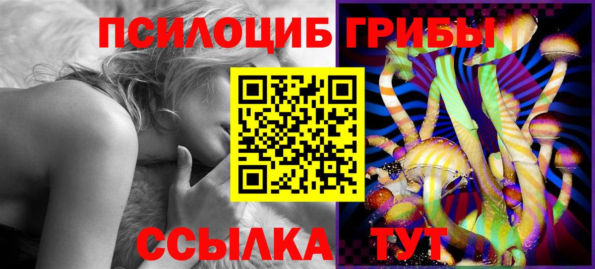 Псилоцибиновые грибы Psilocybine cubensis Кингисепп